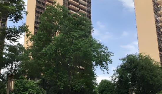 北京宁静小区噪声在线监测系统方案 打造宜居环境筑牢数据防线